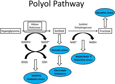 Combination therapy is it in the future for successfully treating peripheral diabetic neuropathy?